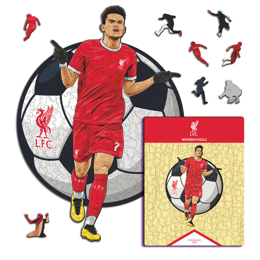 Luis Díaz - Rompecabezas de Madera