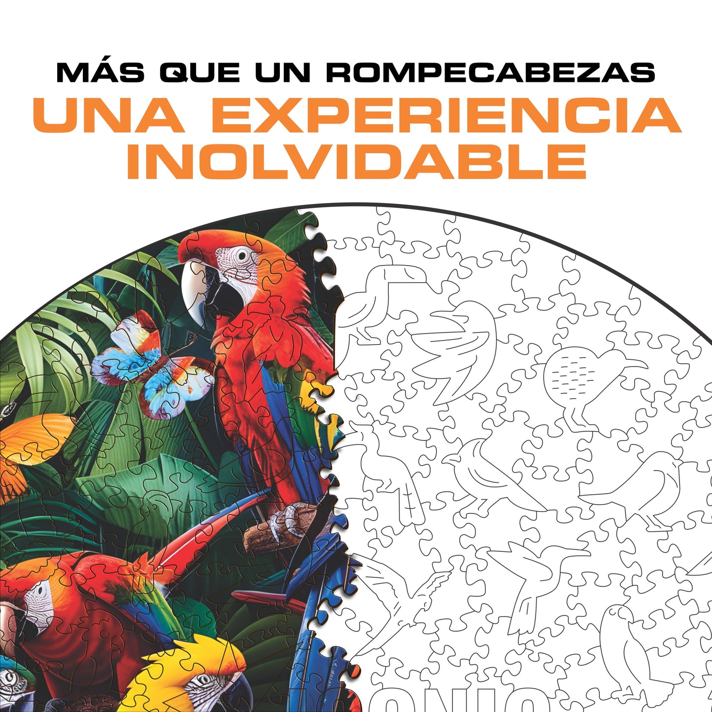 Loros Coloridos - Rompecabezas de Madera