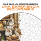 Hámsteres Curiosos - Rompecabezas de Madera