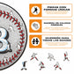 Tampa Bay Rays™ - Rompecabezas de Madera